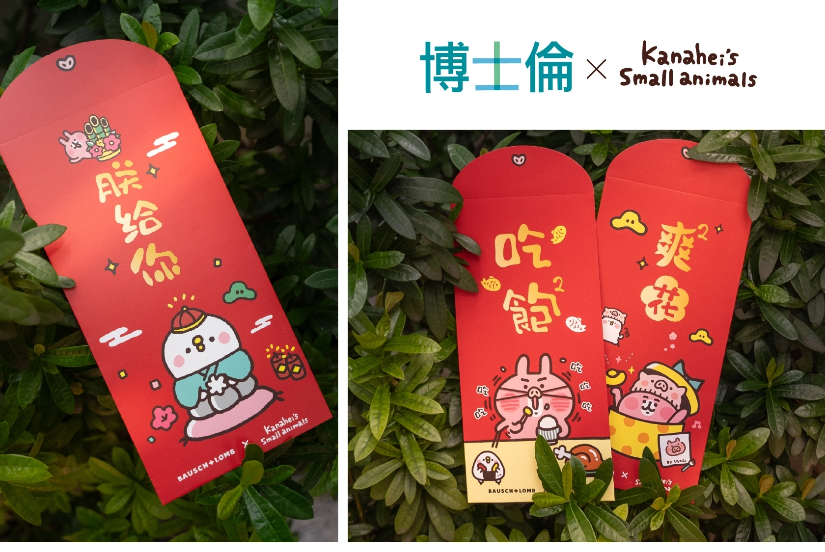 博士倫 kanahei's small animals 紅包袋
